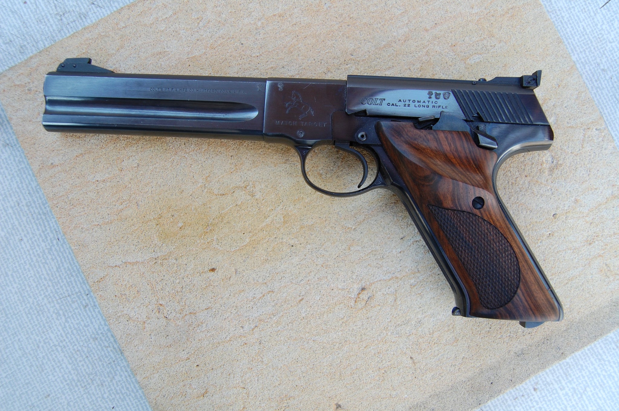 productimage-picture-colt-